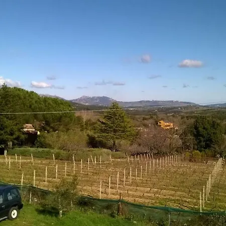Bed & Breakfast La Vigna 2*
