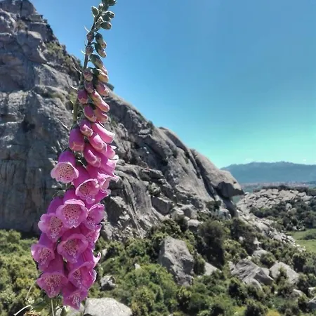 La Vigna 4*