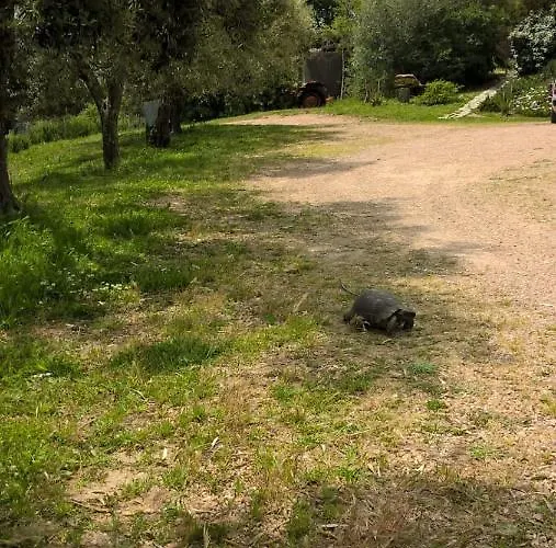 La Vigna Tempio Pausania