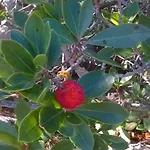 La Vigna 4*