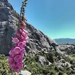 La Vigna 4*