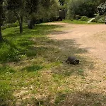 La Vigna Tempio Pausania