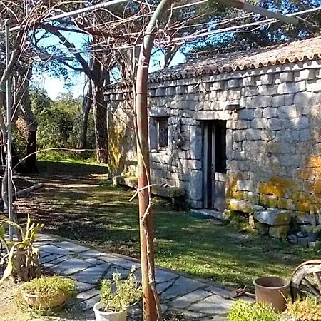 La Vigna Bed & Breakfast