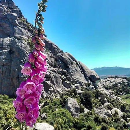 La Vigna 4* Tempio Pausania