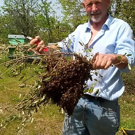 La Vigna