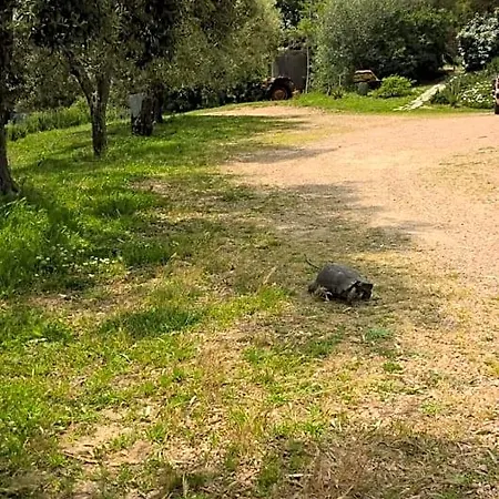 La Vigna 4*