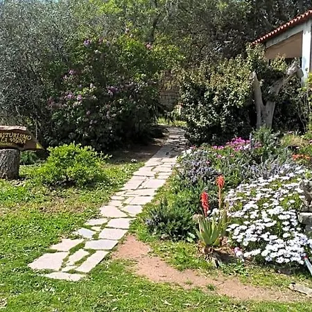 Bed & Breakfast La Vigna