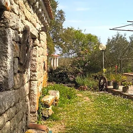 La Vigna 4*