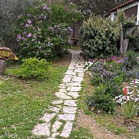 La Vigna Bed & Breakfast