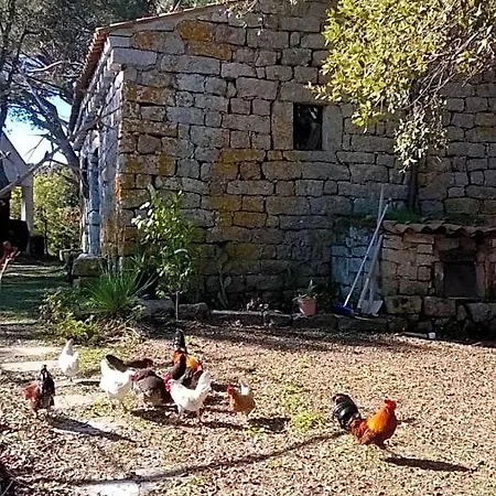 La Vigna 4*