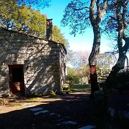 La Vigna