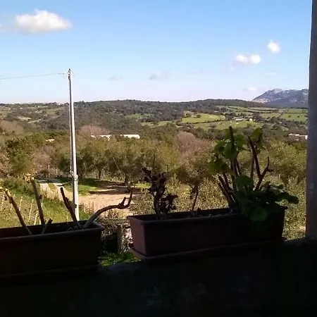 La Vigna 4*