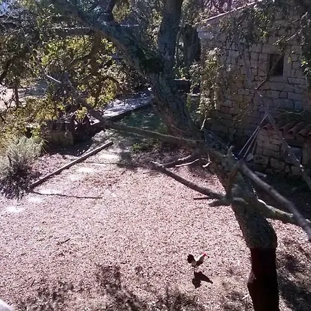 La Vigna Panzió 2*