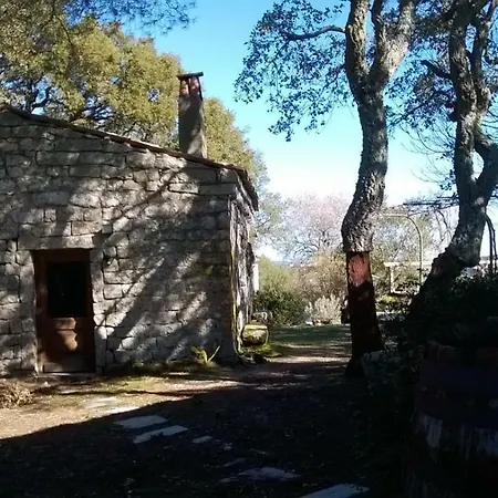 לינה וארוחת בוקר La Vigna טמפיו פאוזניה