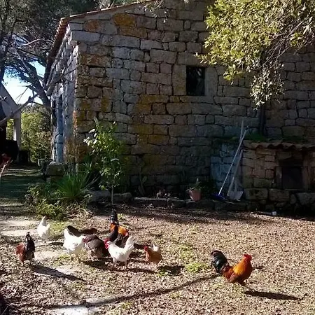 La Vigna 4*