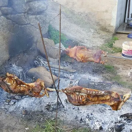 לינה וארוחת בוקר La Vigna 4*