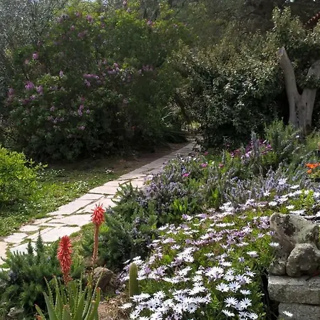 La Vigna 4* טמפיו פאוזניה