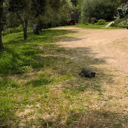 La Vigna טמפיו פאוזניה