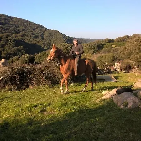 La Vigna לינה וארוחת בוקר 4*