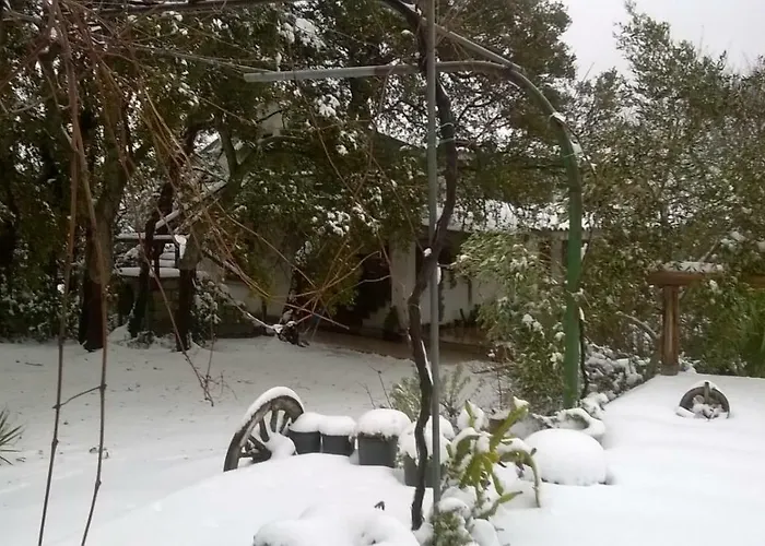 La Vigna 4* テンピオ・パウザーニア