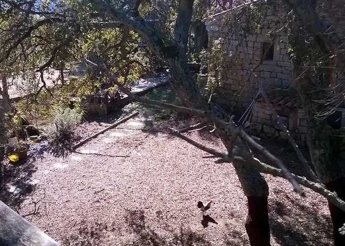 La Vigna ベッド・アンド・ブレックファスト 4*