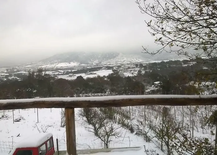 ベッド・アンド・ブレックファスト La Vigna テンピオ・パウザーニア