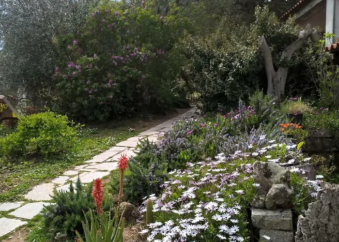 La Vigna 4* テンピオ・パウザーニア